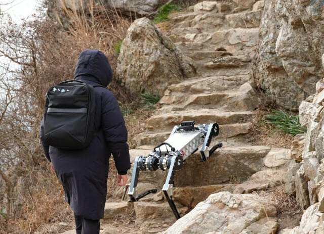 Raion 2 Quadruped Robot Dogs Climbing the Mountain